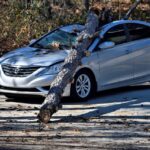 g62609c7b73c29832f1b3071adde7d290ab453afce1b6c131d5a6cc4bcd0bee12db8cd65b502619d697bb2b165b3f493221ebf9daf98f0383986aef3a58aea525_1280